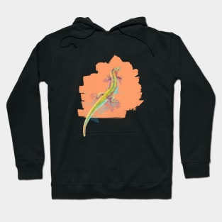 Desert Colors - Lizard Illustration Hoodie